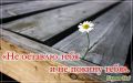 Магнит М043