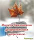Магнит М035